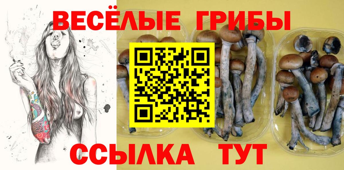 Псилоцибиновые грибы мицелий Тюмень