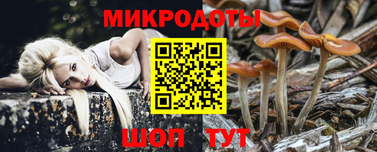 Псилоцибиновые грибы мицелий  Вход с VPN  Тюмень 